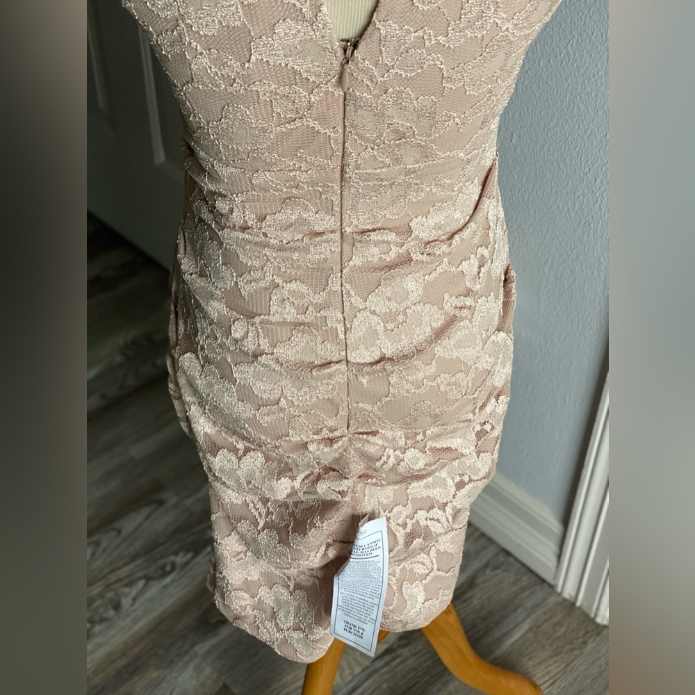 Cache Lace Dress - Picture 5 of 6